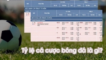 Chia sẻ top 4 phương pháp phân tích tỷ lệ cược hay, chuẩn nhất
